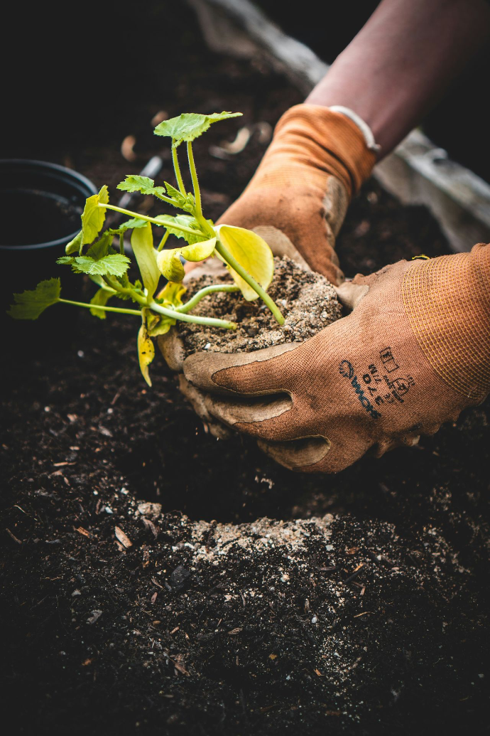Service de jardinage proposé par l'ALE de Crisnée